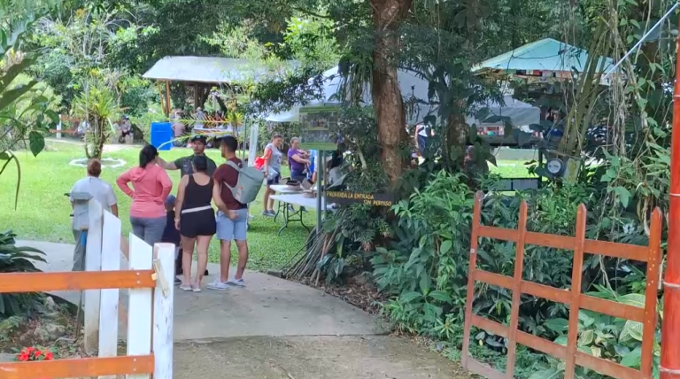 Caminata, actividades culturales, talleres y otros en la Feria del Día del Árbol en Fudebiol