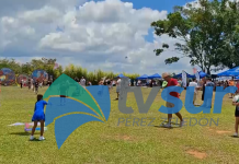 Decenas de familias llegaron a disfrutar del Festival de Papalotes 2026