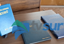 Presentan resultados de la digitalización de las revistas literarias de Pérez Zeledón