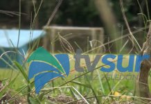 El Polideportivo de Pérez Zeledón amplió su horario