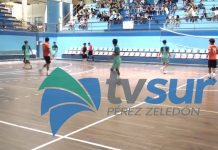 Juegos deportivos estudiantiles aporta figuras a divisiones menores de los Guerreros del Sur