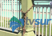 Este jueves harán un conversatorio sobre cierre de centros educativos en la regional del MEP en Pérez Zeledón