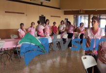 Asociación impulsa la creación de la Casita Rosa de Pérez Zeledón