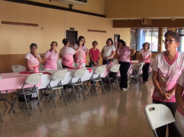 Asociación impulsa la creación de la Casita Rosa de Pérez Zeledón