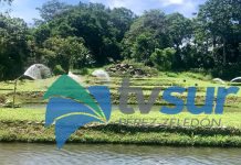 Día de campo fortaleció conocimientos sobre la tilapia en Buenos Aires