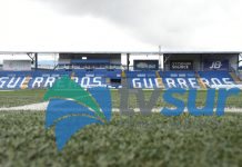 Los Guerreros del Sur confirman entrenador para la siguiente temporada