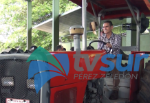 Realizan segunda Feria del Agricultor en el CTP de General Viejo