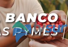 BCR Pyme renueva su programa para impulsar integralmente a las micro, pequeñas y medianas empresas de la Zona Sur