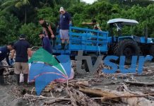 Parque Nacional Corcovado queda libre de baterías de litio tras extraer las últimas nueve