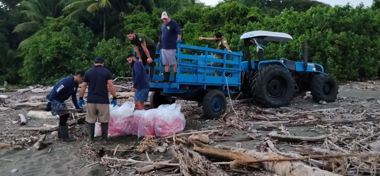 Parque Nacional Corcovado queda libre de baterías de litio tras extraer las últimas nueve