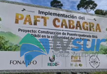 Vecinos de Las Palmas en el territorio indígena de Cabagra tiene un nuevo puente