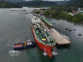 Inversiones en embarcaderos de Pavones, Bahía Drake y muelle de Golfito superan los 7 mil millones de colones