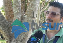 Profesor de Música escribe y canta: Versos de este Valle, una canción que inspira el folclor en Pérez Zeledón