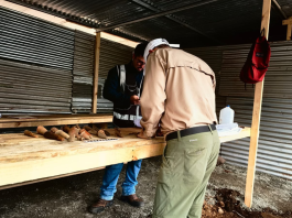 Gestionan estudio arqueológico en obras del Liceo Rural Buena Vista en Pérez Zeledón
