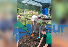 14 jóvenes de Pérez Zeledón participarán en proyecto comunitario de Amigos de las Américas
