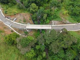 Puente en la quebrada clementina beneficia a 564 personas y fortalece la comunicación entre Pérez Zeledón y Quepos