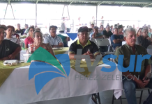 Región Sur busca recuperar producción cañera con renovación de plantaciones