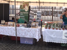 Más de 90 emprendimientos participaron en la Expo Turismo en Pérez Zeledón