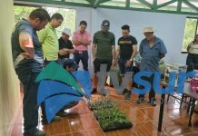 Productores de frijol de la Región Brunca buscan mejorar producción tras reunión con especialistas en semillas