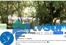 Movimiento Ríos Vivos pide información sobre posible proyecto de extracción de materiales en el río Peñas Blancas