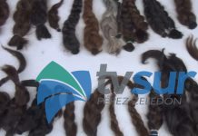 Actividad reunirá donación de cabello, campaña de sangre, emprendedores y música en San Isidro de El General