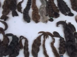 Actividad reunirá donación de cabello, campaña de sangre, emprendedores y música en San Isidro de El General