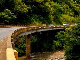 El próximo lunes 19 de octubre comenzarán los trabajos de rehabilitación del puente sobre el río Ceibo en Buenos Aires