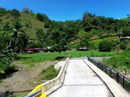 Un puente que beneficiará a 820 personas en Palmar de Osa quedará listo en noviembre