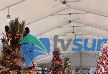 Universal llega a Pérez Zeledón y lleva su Navidad número 100 a la Zona Sur