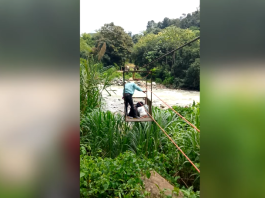 Tras sufrir amputación de un dedo, adulto mayor espera solución en el río División