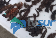 Este viernes 16 de octubre habrá campaña de donación de cabello en el Polideportivo