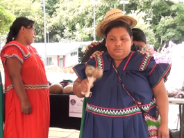 Artesanos de La Casona en Coto Brus son apoyados por medio de un programa de extensión de la UNA Sede Región Brunca